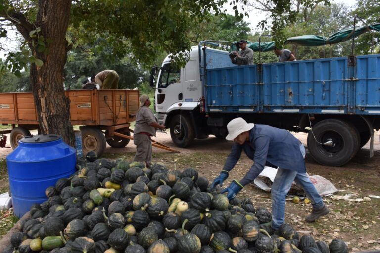 La Universidad Provincial de Laguna Blanca concretó la primera entrega de productos agropecuarios saludables al Plan Nutrir
