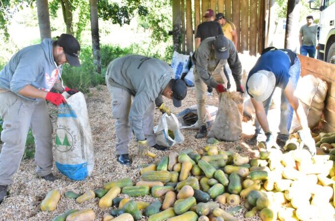 La UPLaB concretó la segunda entrega de productos agropecuarios saludables al Plan Nutrir