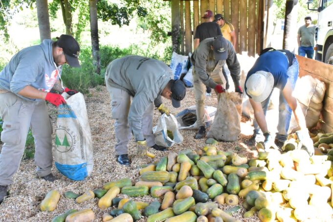 La UPLaB concretó la segunda entrega de productos agropecuarios saludables al Plan Nutrir