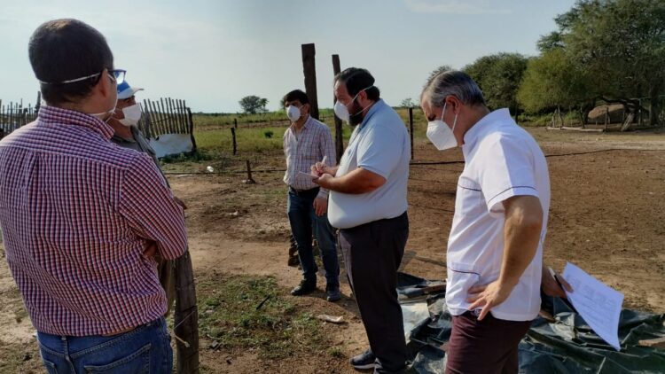 Fue detectado en Formosa un nuevo caso de gripe aviar en aves de traspatio