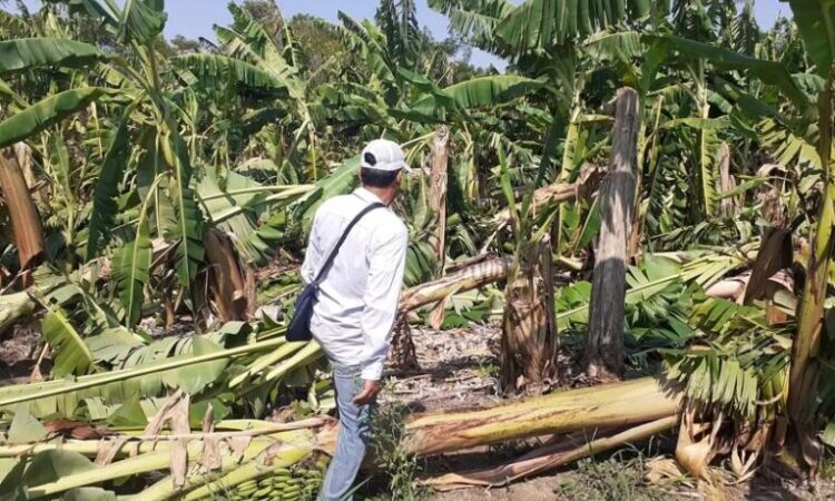 Guido González: “Se están realizando los pasos administrativos de los fondos de la emergencia agropecuaria”