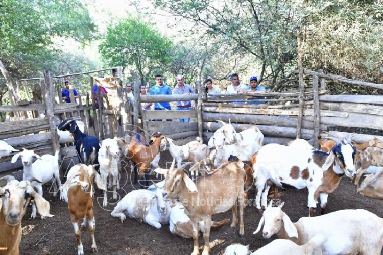 Sostienen en el Día de la Ganadería que “Formosa tiene mucho potencial por desarrollar”