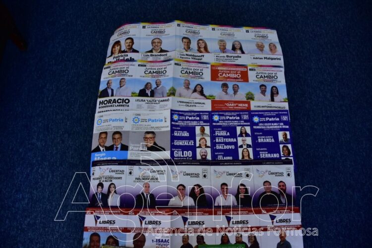 Unos 482.602 electores formoseños están habilitados para votar el próximo domingo en las PASO  