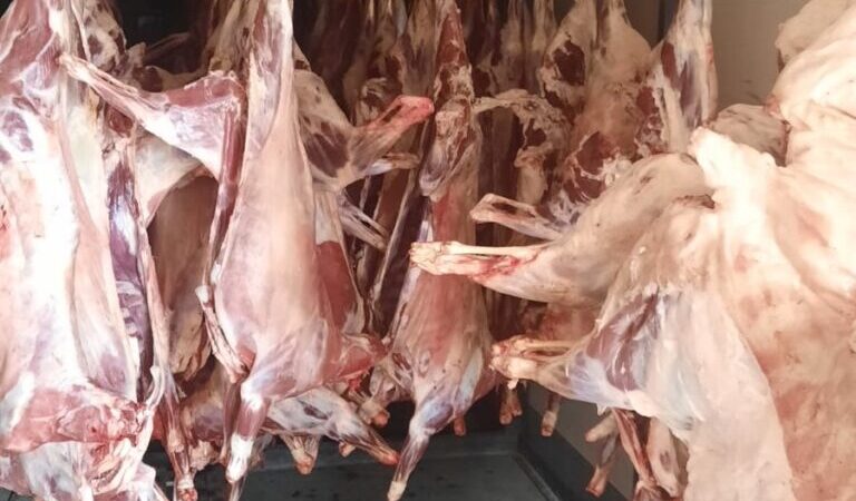 Las ferias paipperas pondrán a la venta cabritos formoseños