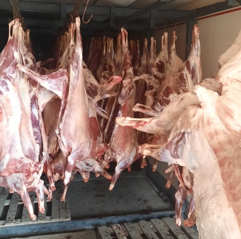 Las ferias paipperas pondrán a la venta cabritos formoseños