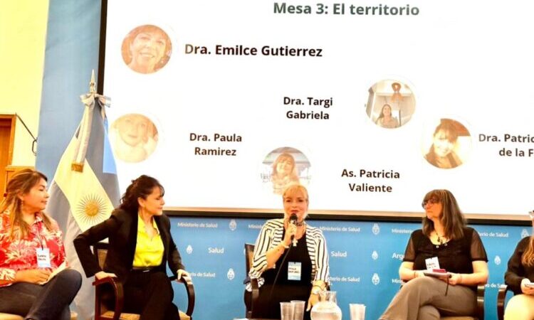 Formosa participó de un nuevo Encuentro Federal de Telesalud
