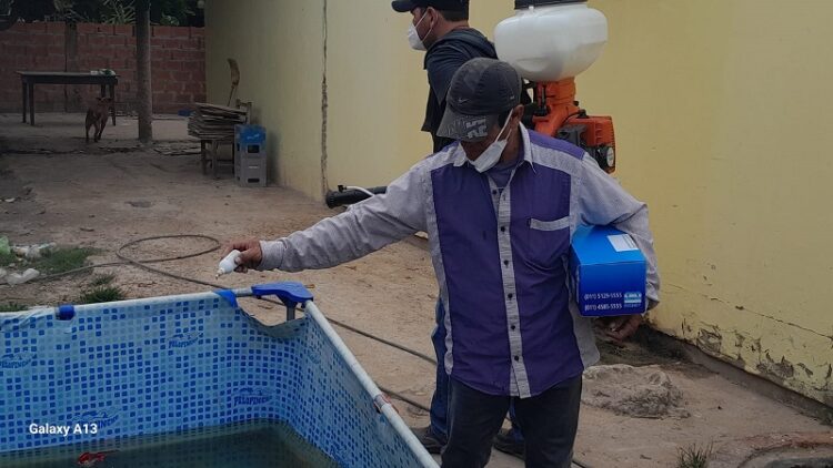 Comienza una nueva semana de acciones de prevención contra el dengue