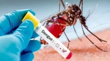 Dengue: Debido al aumento de casos, instan a tomar las medidas preventivas como método para combatir a la enfermedad