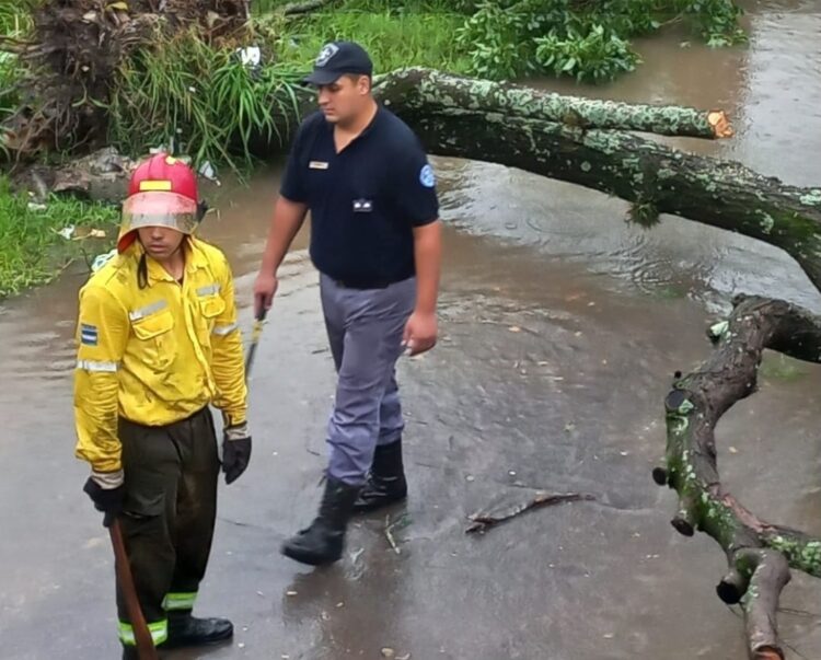 Rápido y coordinado trabajo de la Policía de Formosa ante el temporal que azotó a la Capital