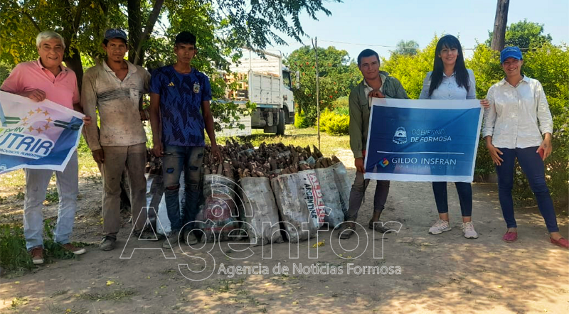 Paipperos de Colonia La Primavera producen 11 mil kilos de productos para el Plan Nutrir