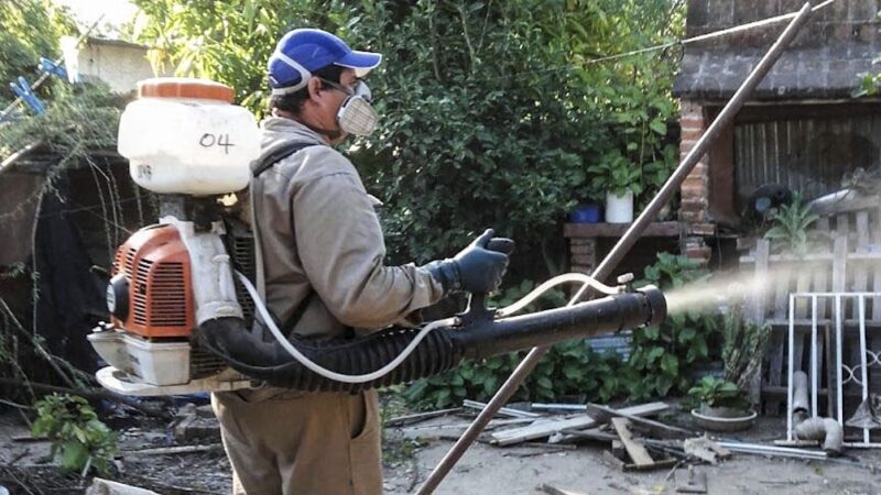 Formosa: Se detectaron en la última semana 1026 casos positivos de dengue