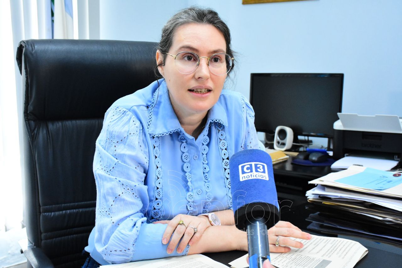 Energía eléctrica: “La Resolución 7/24 es una norma nacional donde la provincia de Formosa no tiene injerencia”