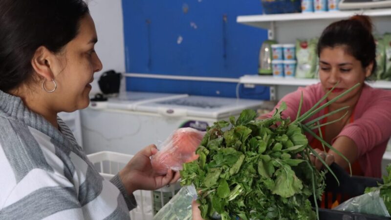 Coordinaron acciones entre áreas de la cadena productiva para garantizar el abastecimiento al Plan Nutrir