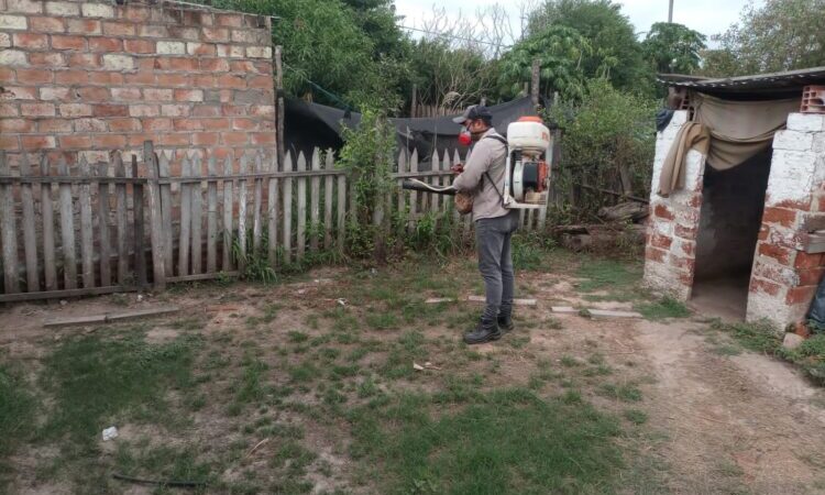 Dengue: La semana pasada 748 familias negaron el ingreso a la brigada sanitaria