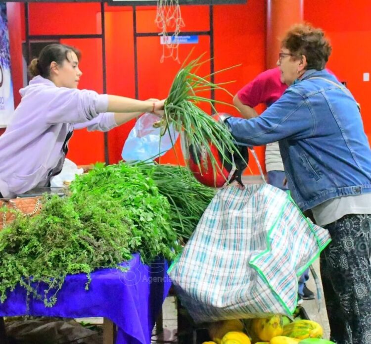 Gran concurrencia de familias en las ferias paipperas  