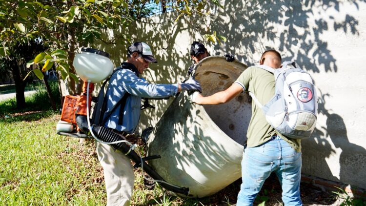 Recomiendan no relajar las medidas sanitarias en el combate contra el dengue
