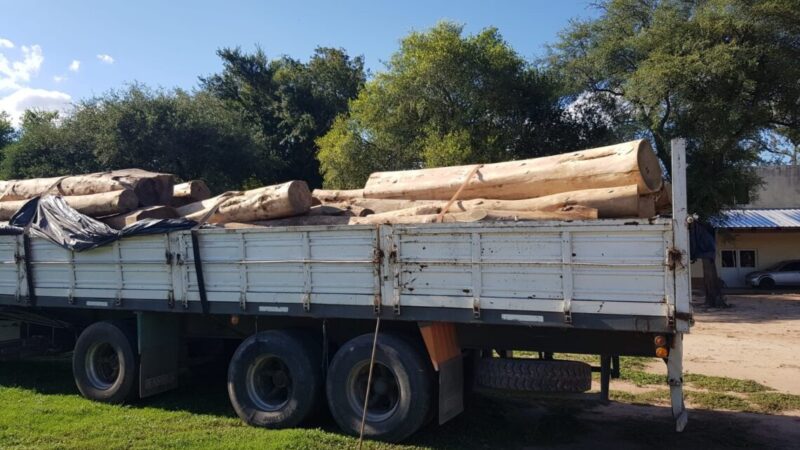 Se secuestraron 60 toneladas de palo santo y dos camiones con presunta documentación falsificada en Las Lomitas
