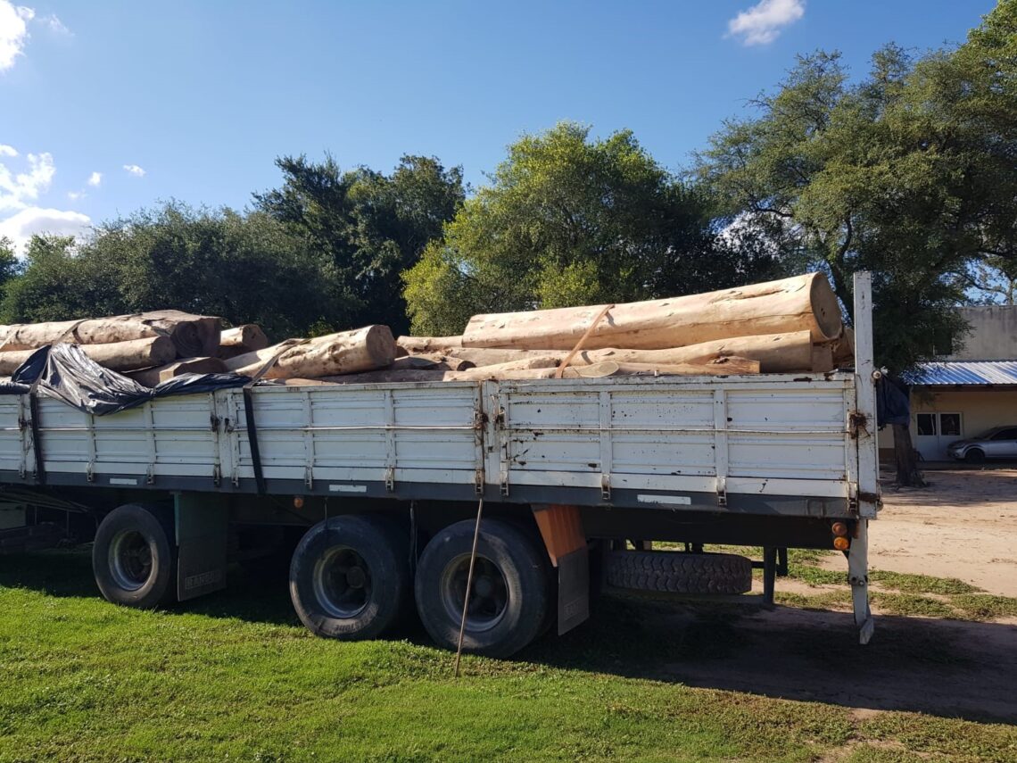 Se secuestraron 60 toneladas de palo santo y dos camiones con presunta documentación falsificada en Las Lomitas