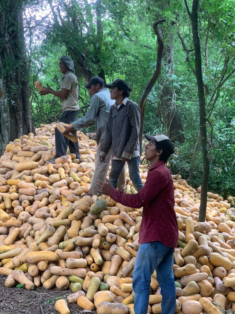 El Gobierno de Formosa asiste a productores paipperos con recursos provinciales a pesar del desfinanciamiento nacional