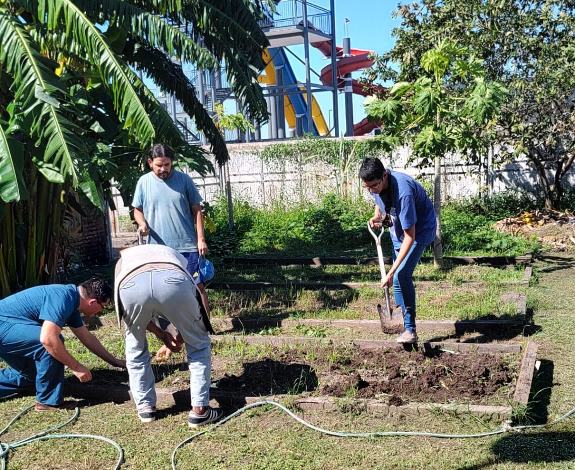 Los pacientes de salud mental siguen cuidando la huerta como espacio terapéutico