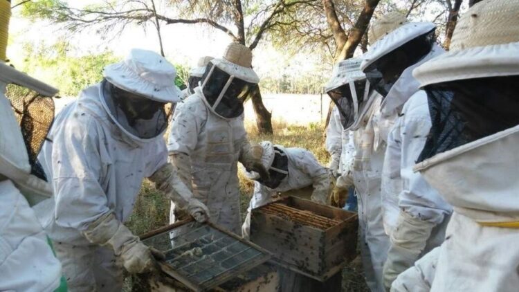 Productores apícolas formoseños conmemoraron el Día Mundial de las Abejas