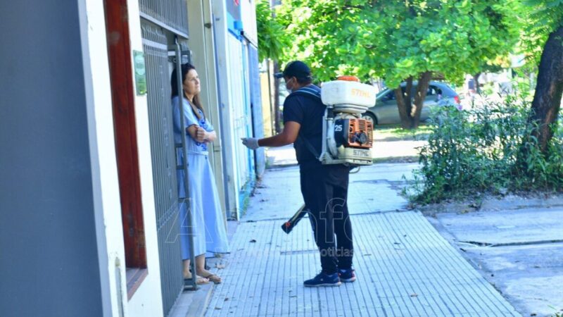 Dengue: Los casos contabilizados en los últimos días no presentaron variaciones respecto a la semana anterior