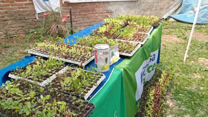 Promueven el desarrollo de huertas comunitarias en distintos barrios