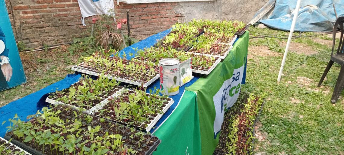 Promueven el desarrollo de huertas comunitarias en distintos barrios