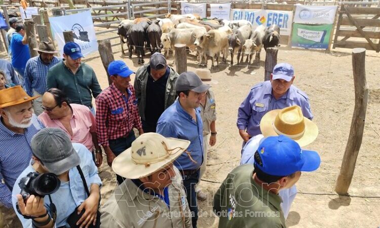 El vicegobernador Solís en feria ganadera: “Sin la mano del Estado, esto hubiera sido imposible”