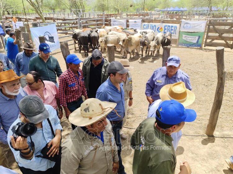 El vicegobernador Solís en feria ganadera: “Sin la mano del Estado, esto hubiera sido imposible”