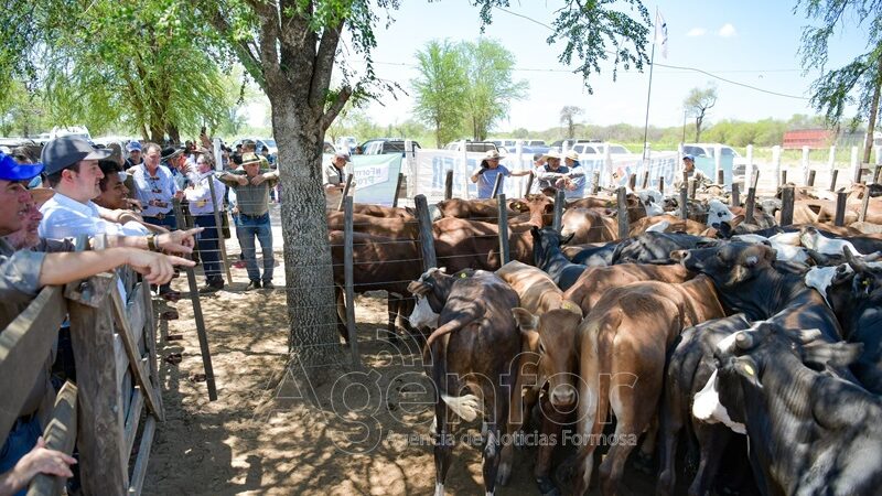 El Vicegobernador acompañó la realización de la 2° Feria Ganadera Paippera