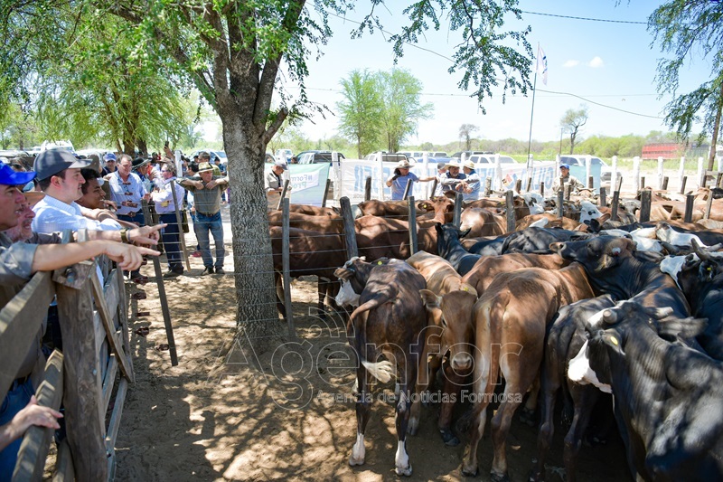 El Vicegobernador acompañó la realización de la 2° Feria Ganadera Paippera