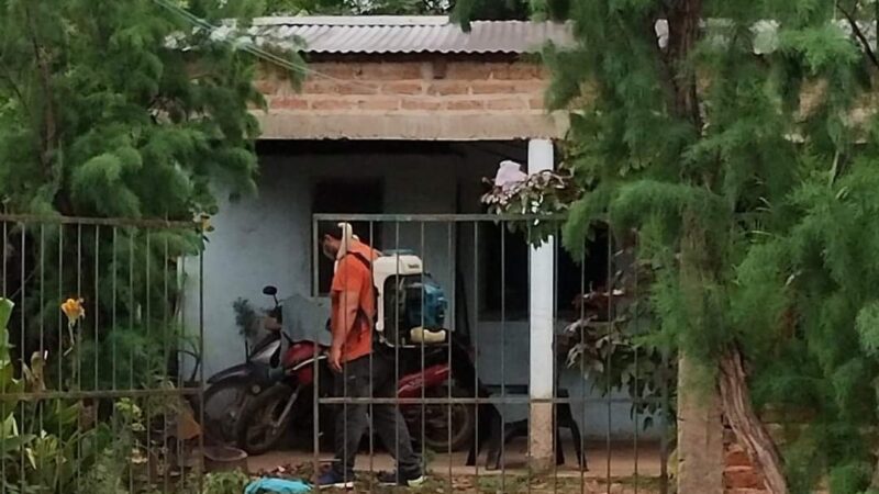 El recuento de casos de dengue mostró un ligero descenso en esta última semana