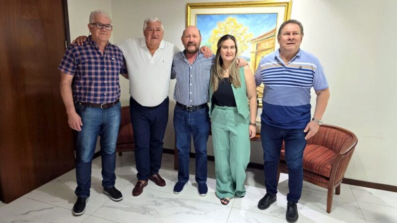 El gobernador Insfrán se reunió con referentes de la Federación de Luz y Fuerza