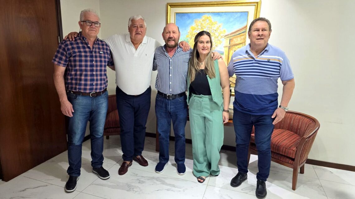El gobernador Insfrán se reunió con referentes de la Federación de Luz y Fuerza