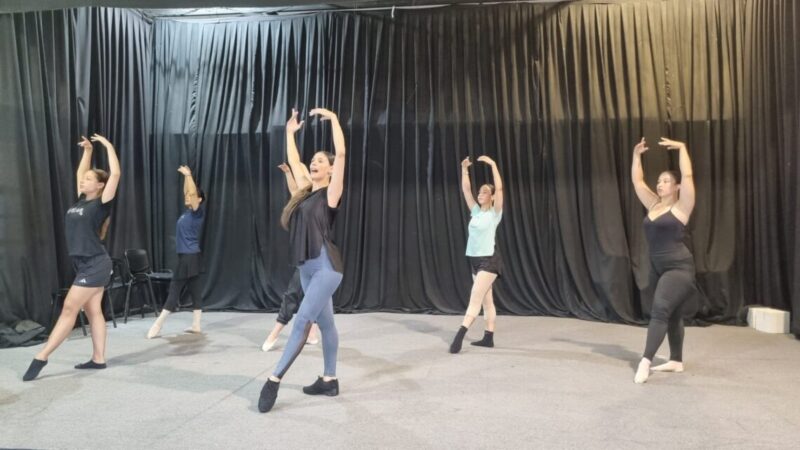 Verano 2025: La Subsecretaría de Cultura ofrece talleres de danza clásica y flamenco