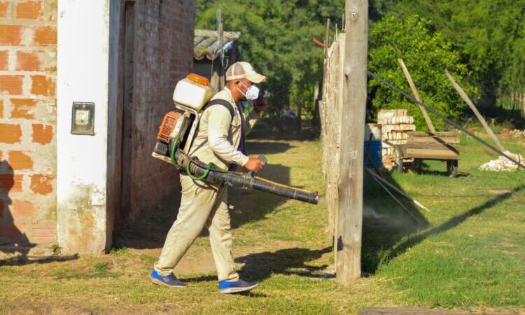 El conteo de los casos de dengue reflejó un nuevo descenso en el cierre de esta semana