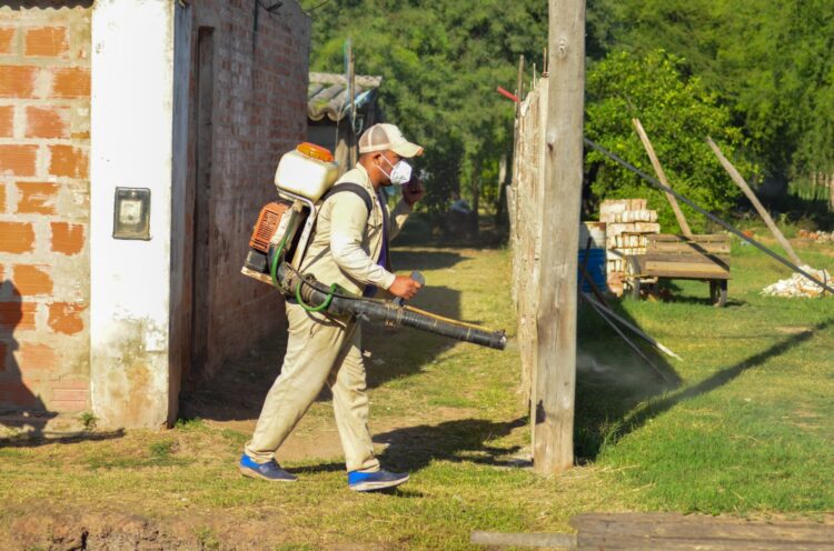 El conteo de los casos de dengue reflejó un nuevo descenso en el cierre de esta semana