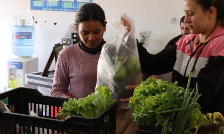 Plan Nutrir: Hubo entregas normales de bolsones en los días feriados