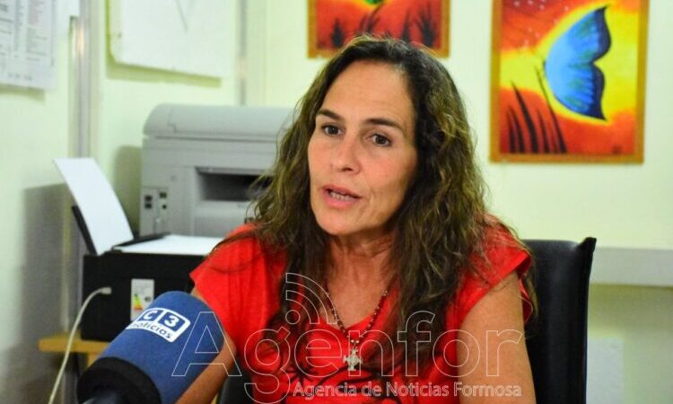 Desde el Ministerio de Desarrollo Humano hablaron de la situación actual del dengue en la provincia