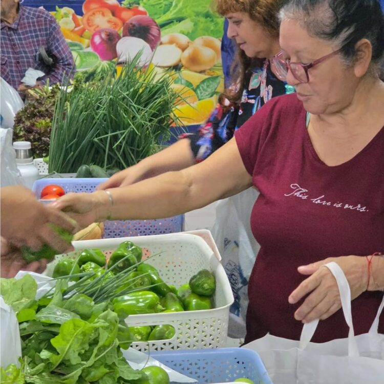 Soberanía Alimentaria Formoseña: Este viernes, las jornadas se desarrollarán en dos centros fijos