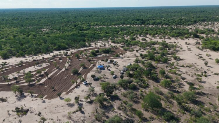Avanza tarea de recuperación de suelos degradados en El Chorro