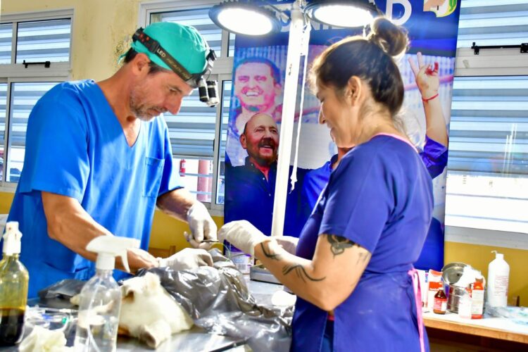 La clínica móvil para mascotas desplegó servicios gratuitos en Pozo Mortero