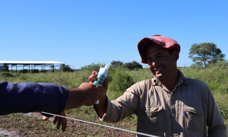 Pirané y Palo Santo: Asistencia, monitoreo y mejoras paulatinas