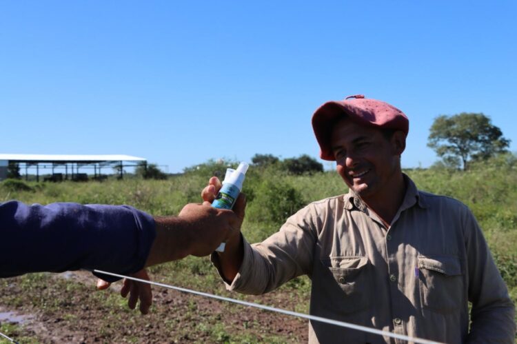 Pirané y Palo Santo: Asistencia, monitoreo y mejoras paulatinas