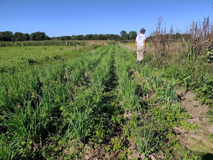 Continúa la entrega de productos paipperos al Plan Nutrir