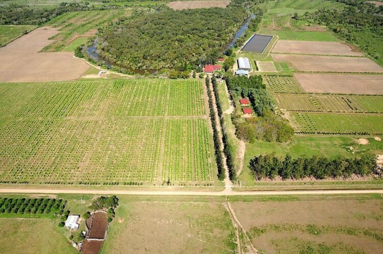 El CEDEVA celebra su 28° aniversario: Una institución clave para el desarrollo agropecuario de Formosa