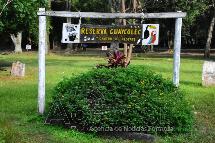 Guaycolec abre sábados, domingos y feriados en vacaciones de invierno