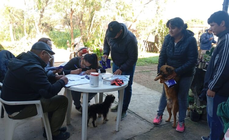 Vacunación antirrábica y desparasitación gratuita de perros y gatos en Palo Santo
