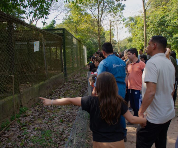 Éxito total en vacaciones: Más de dos mil personas visitaron la Reserva Guaycolec